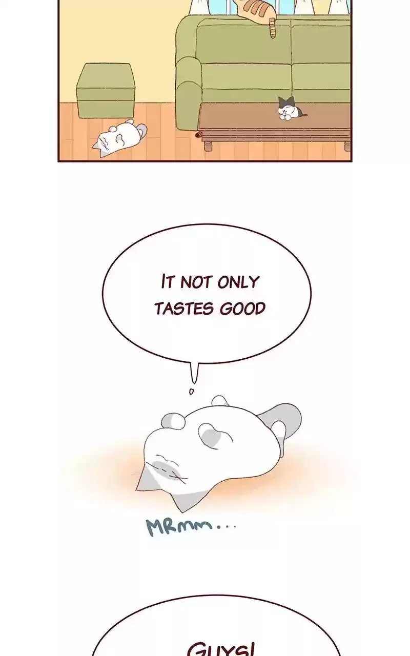 Saphie: The One-Eyed Cat Chapter 241: