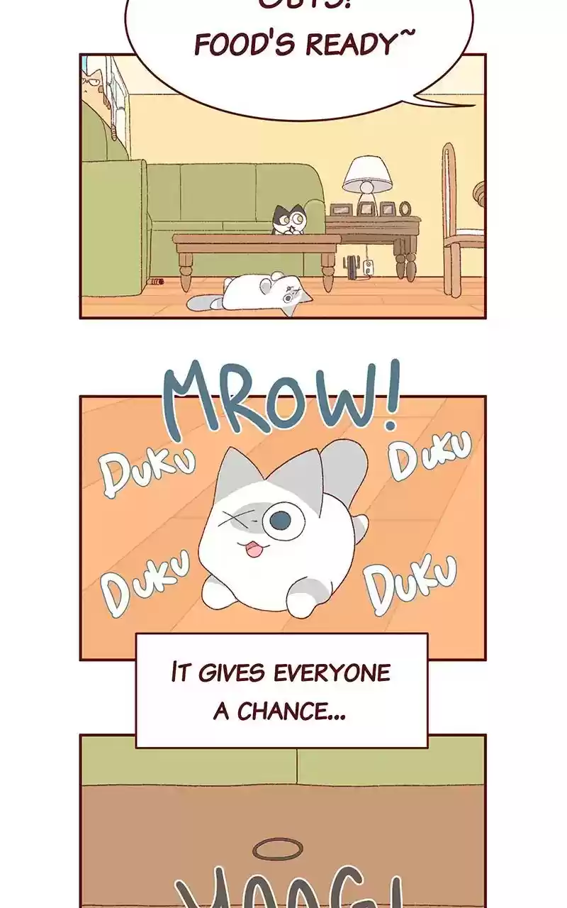 Saphie: The One-Eyed Cat Chapter 241: