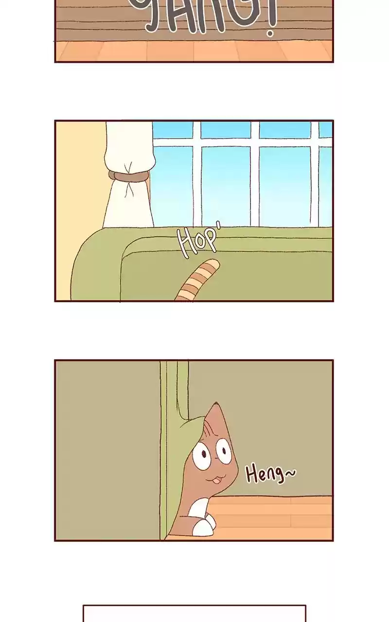 Saphie: The One-Eyed Cat Chapter 241: