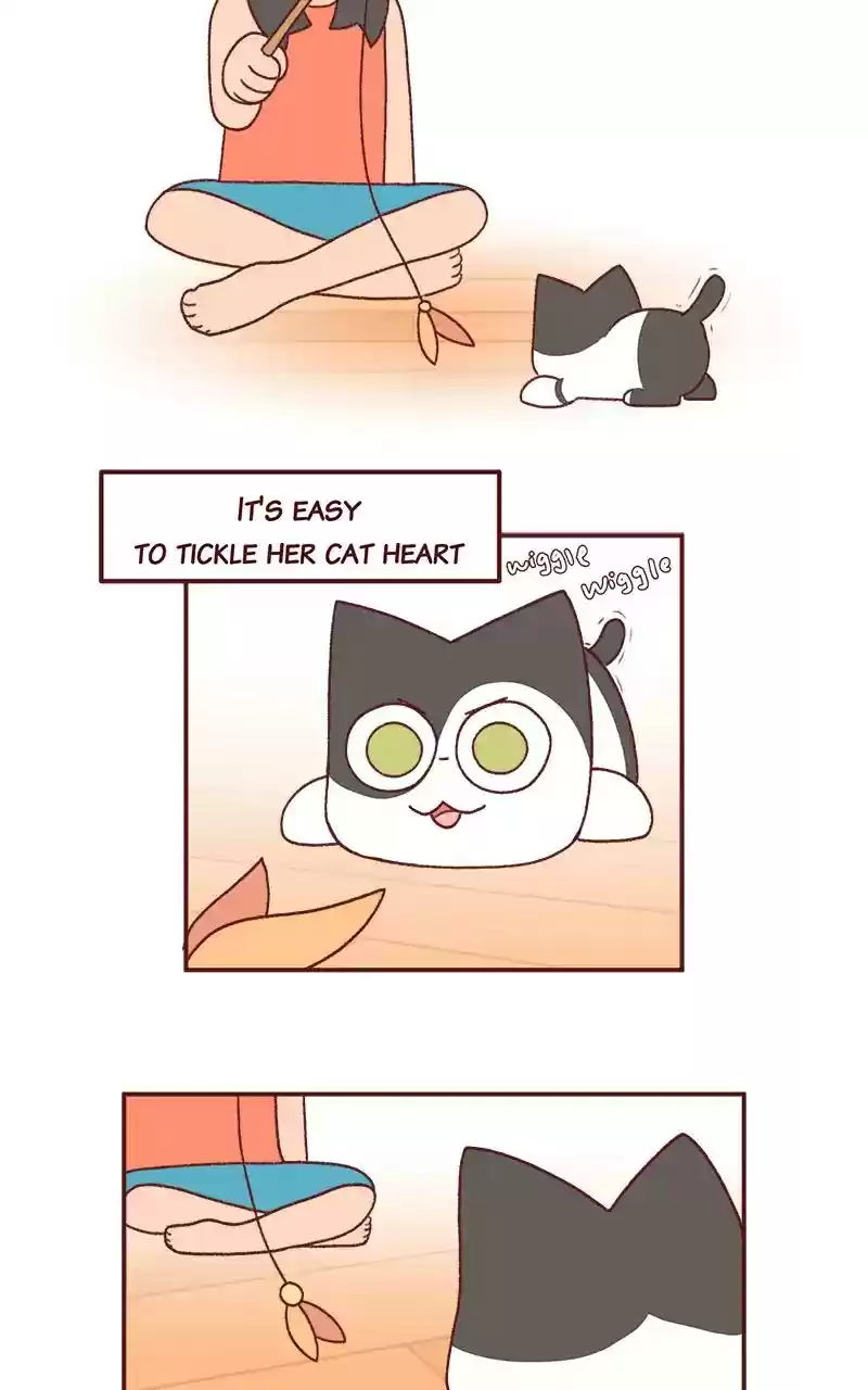 Saphie: The One-Eyed Cat Chapter 242: