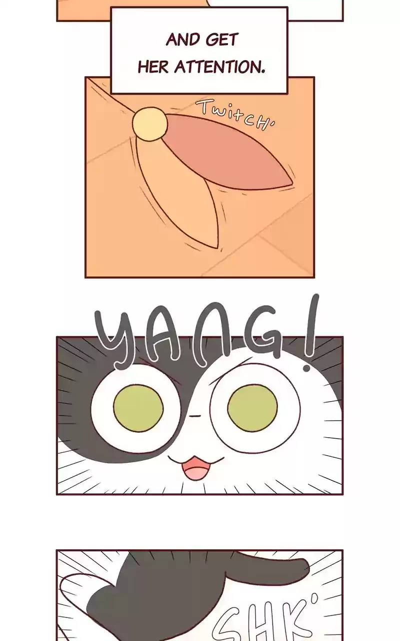 Saphie: The One-Eyed Cat Chapter 242: