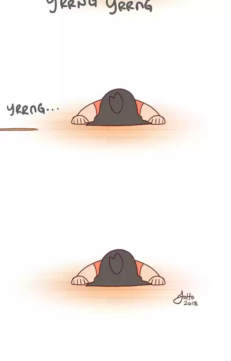 Saphie: The One-Eyed Cat Chapter 242: