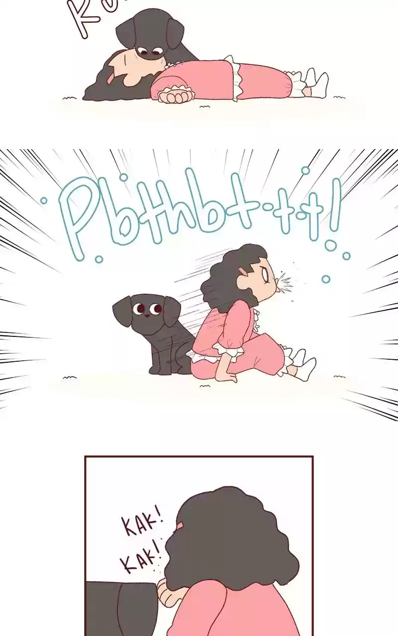 Saphie: The One-Eyed Cat Chapter 243: