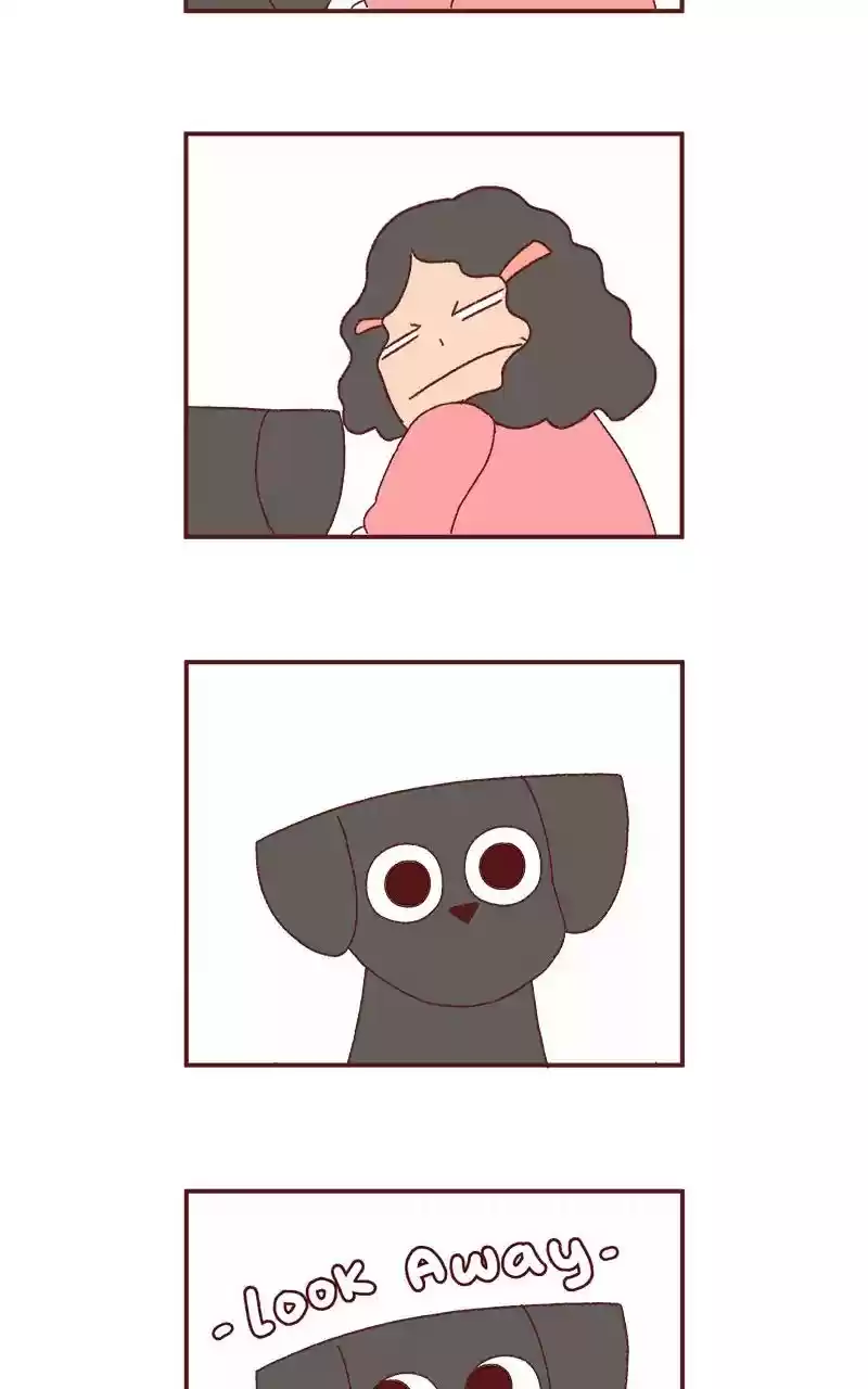 Saphie: The One-Eyed Cat Chapter 243: