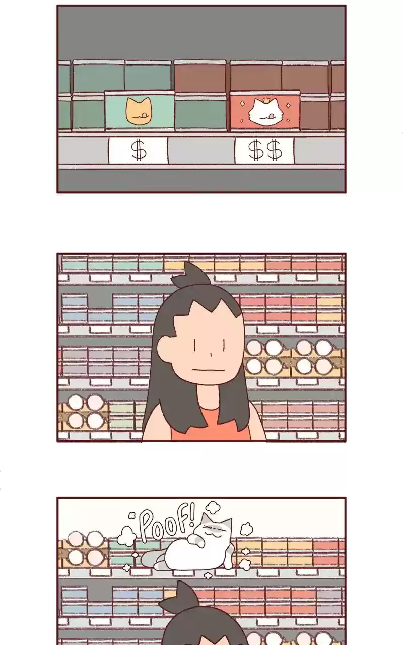 Saphie: The One-Eyed Cat Chapter 244: