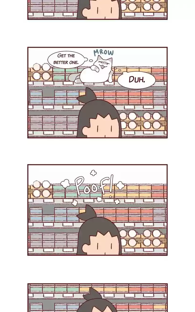 Saphie: The One-Eyed Cat Chapter 244: