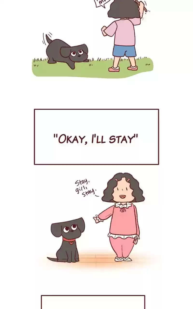 Saphie: The One-Eyed Cat Chapter 246: