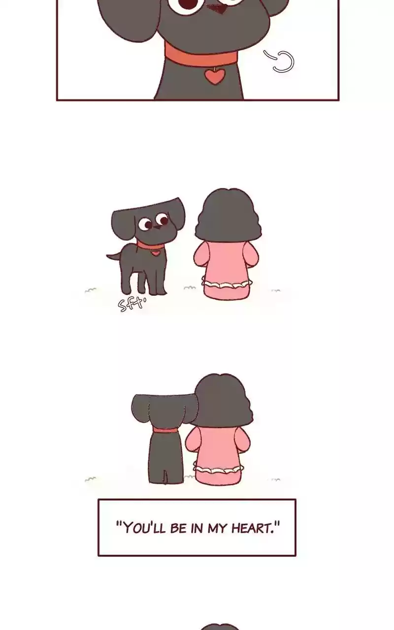 Saphie: The One-Eyed Cat Chapter 246: