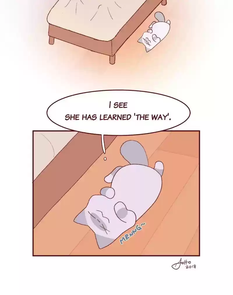 Saphie: The One-Eyed Cat Chapter 247: