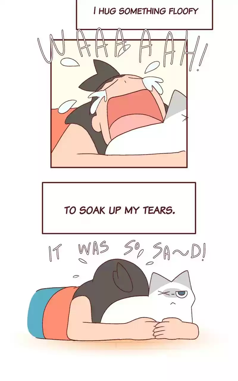 Saphie: The One-Eyed Cat Chapter 249: