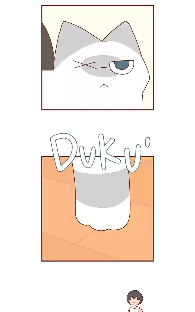 Saphie: The One-Eyed Cat Chapter 249: