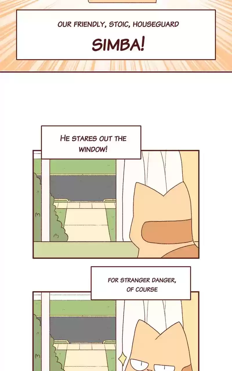 Saphie: The One-Eyed Cat Chapter 251: