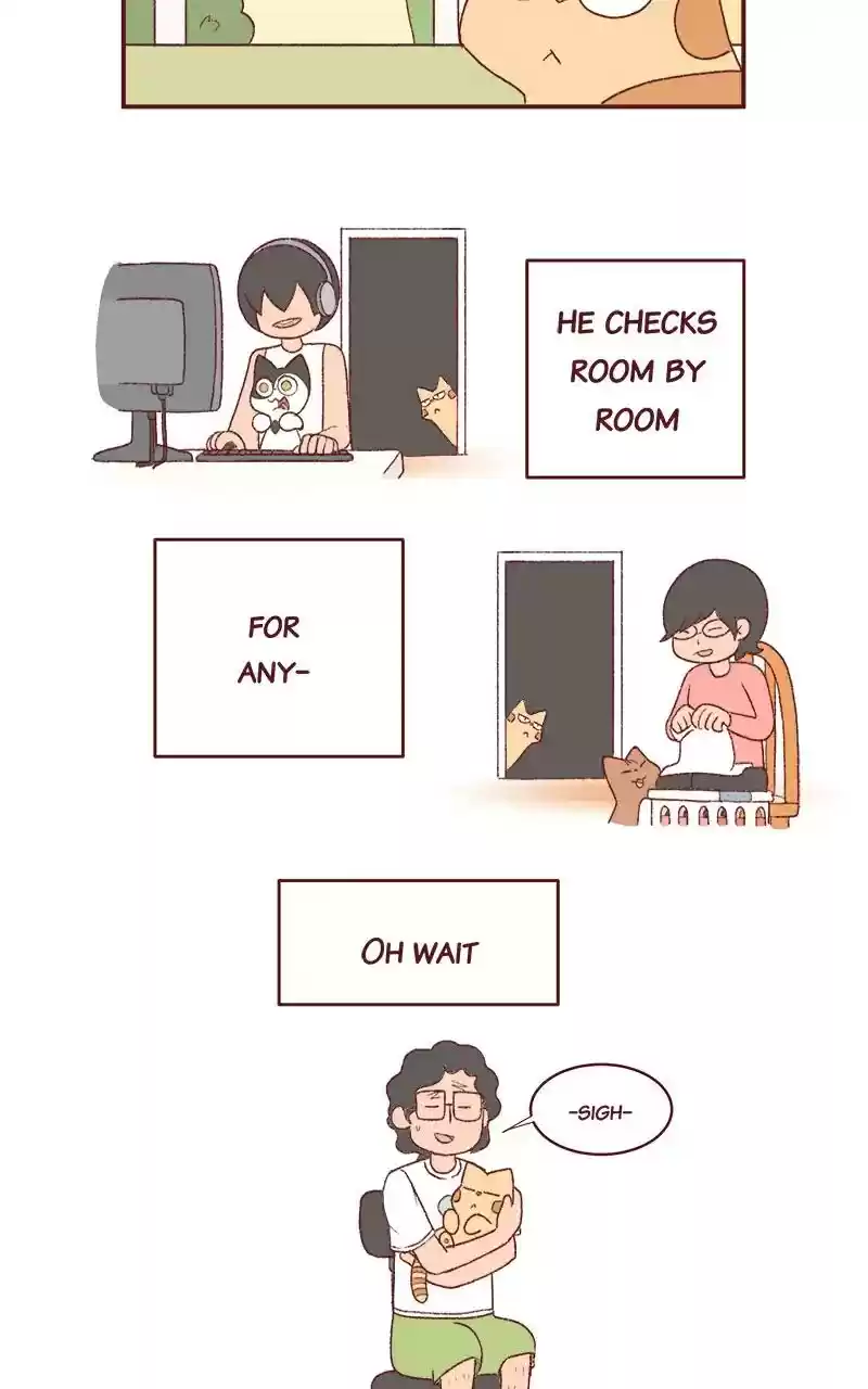 Saphie: The One-Eyed Cat Chapter 251: