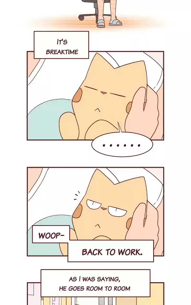 Saphie: The One-Eyed Cat Chapter 251: