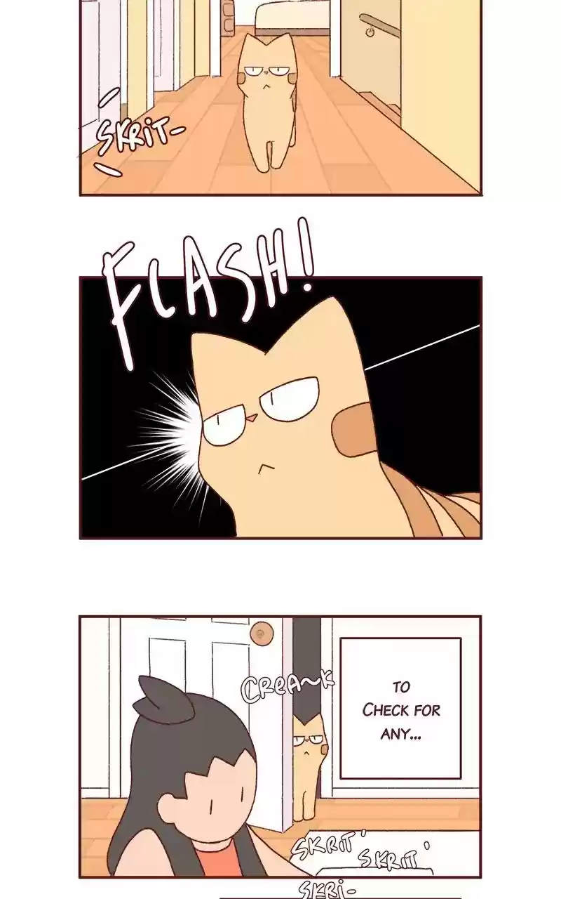 Saphie: The One-Eyed Cat Chapter 251: