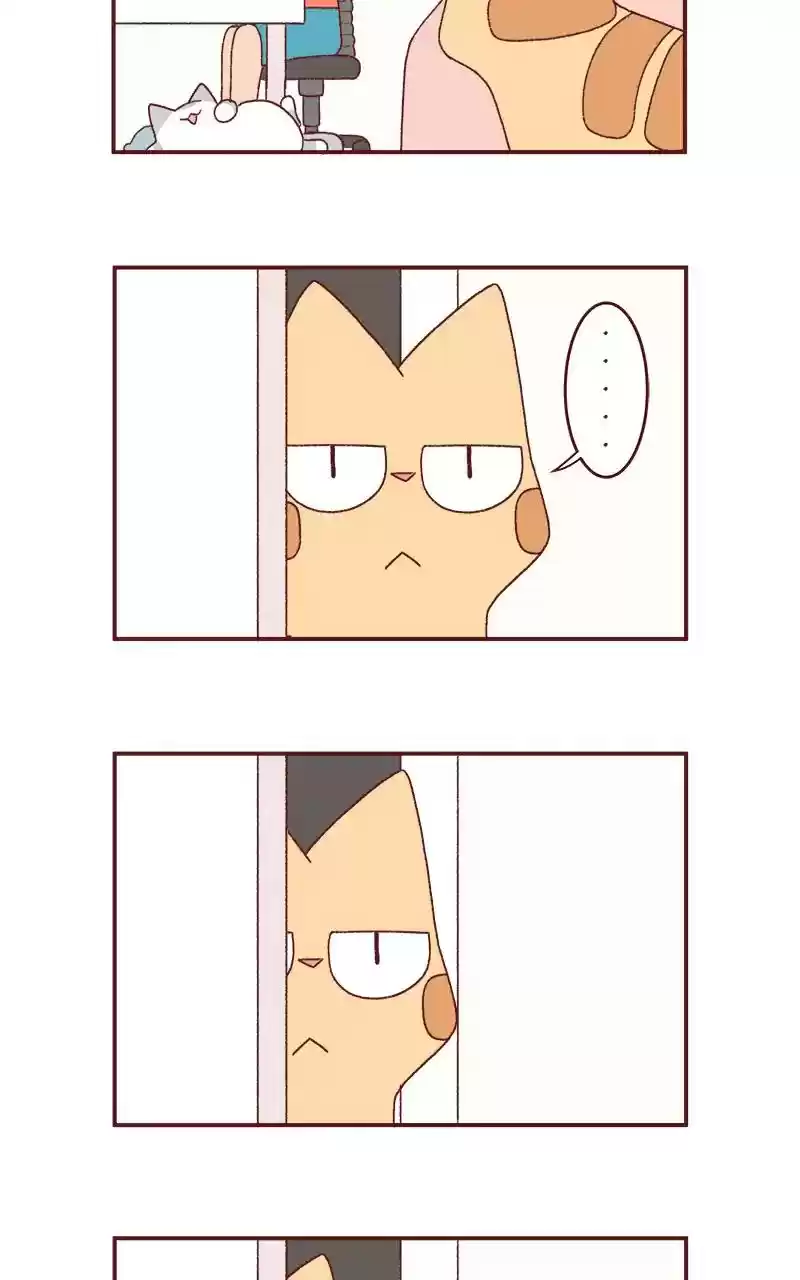 Saphie: The One-Eyed Cat Chapter 251: