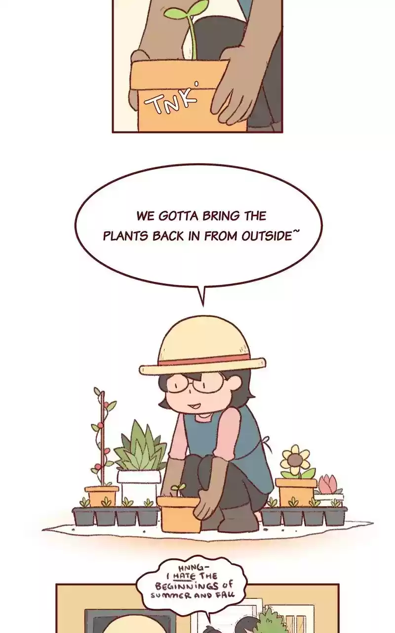 Saphie: The One-Eyed Cat Chapter 252: