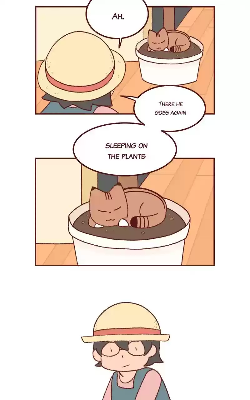 Saphie: The One-Eyed Cat Chapter 252: