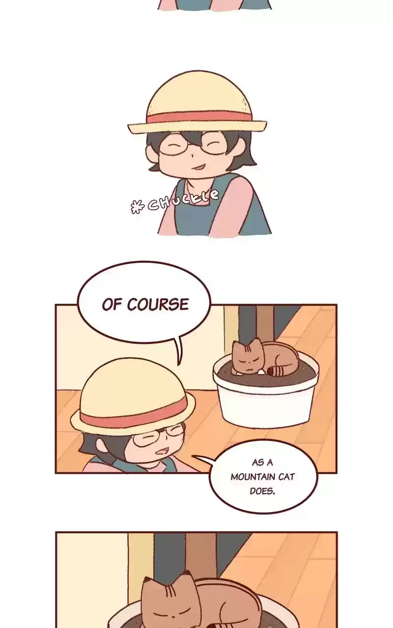 Saphie: The One-Eyed Cat Chapter 252: