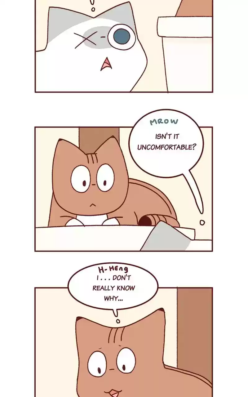 Saphie: The One-Eyed Cat Chapter 252: