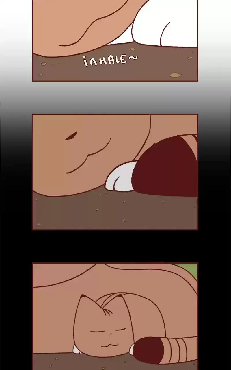 Saphie: The One-Eyed Cat Chapter 252: