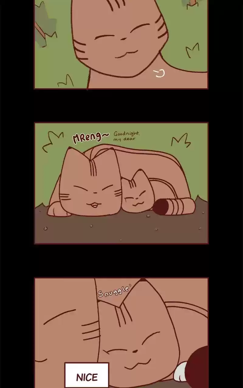 Saphie: The One-Eyed Cat Chapter 252: