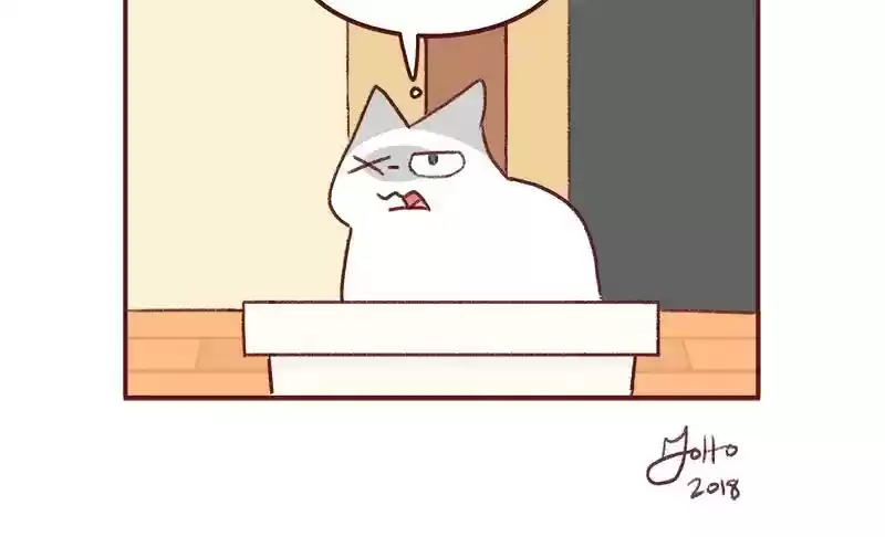 Saphie: The One-Eyed Cat Chapter 252: