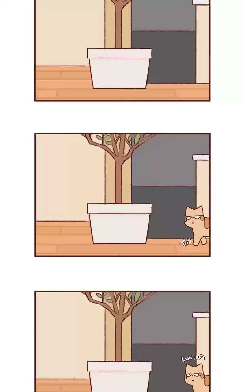 Saphie: The One-Eyed Cat Chapter 253: