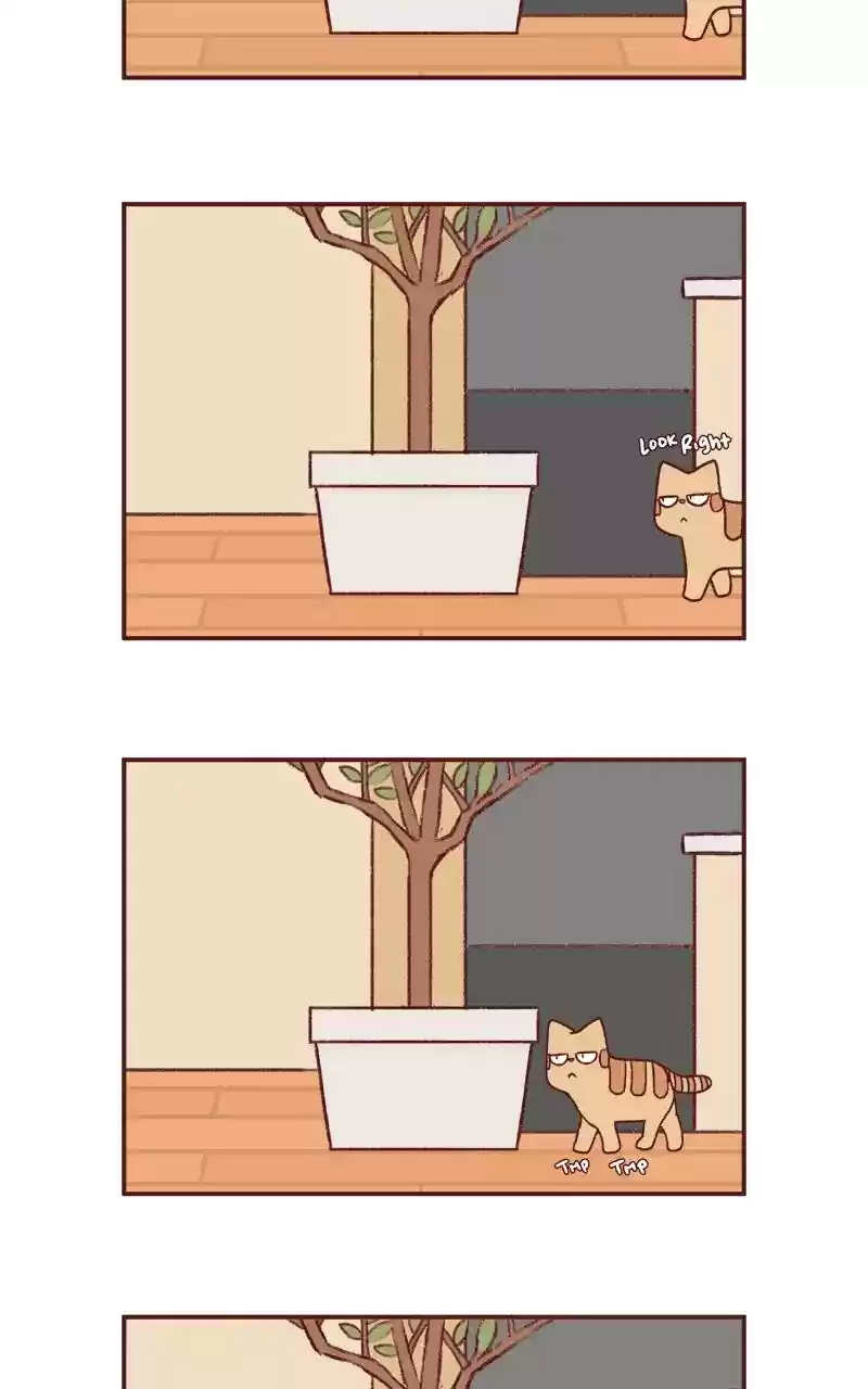 Saphie: The One-Eyed Cat Chapter 253: