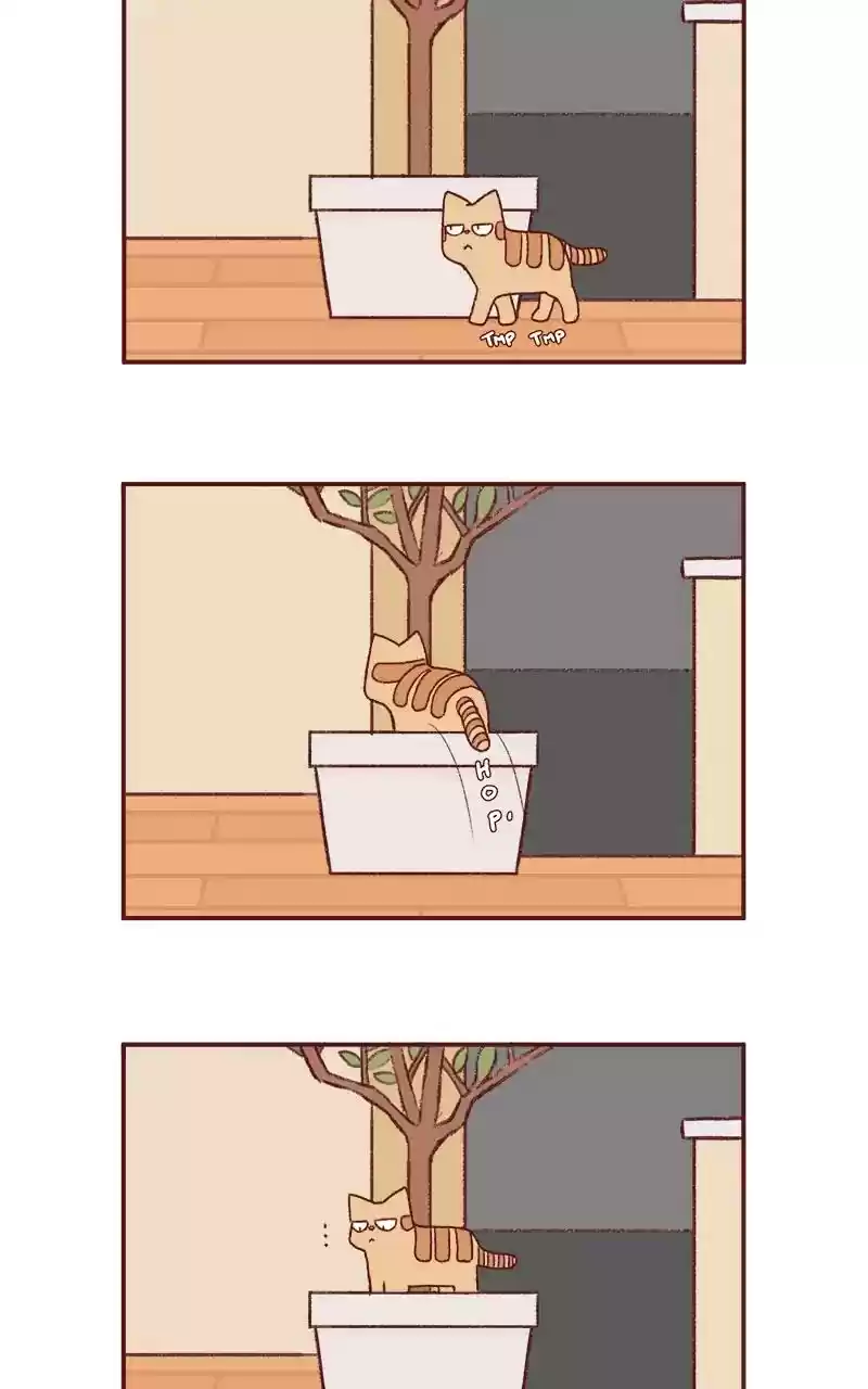 Saphie: The One-Eyed Cat Chapter 253: