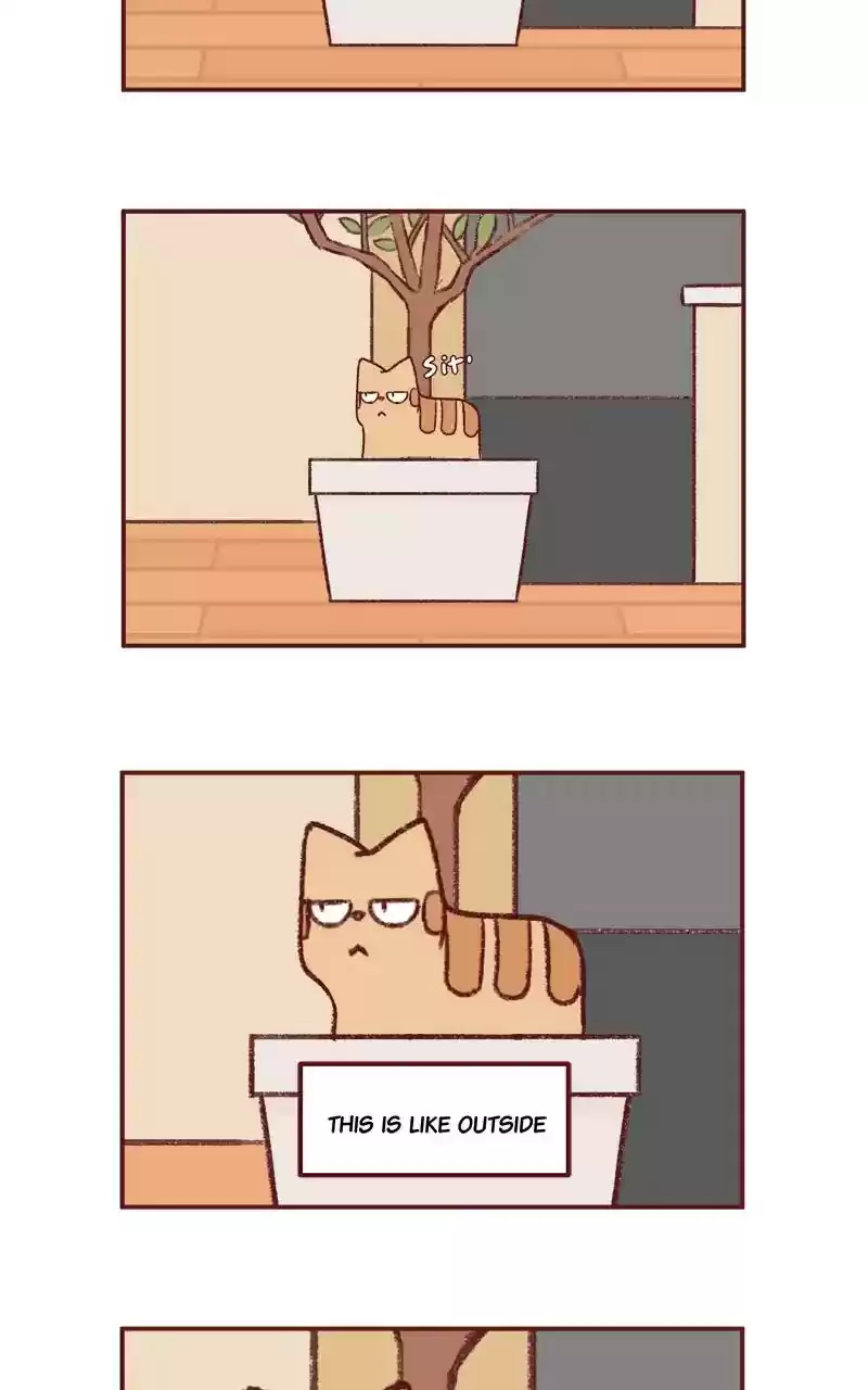 Saphie: The One-Eyed Cat Chapter 253: