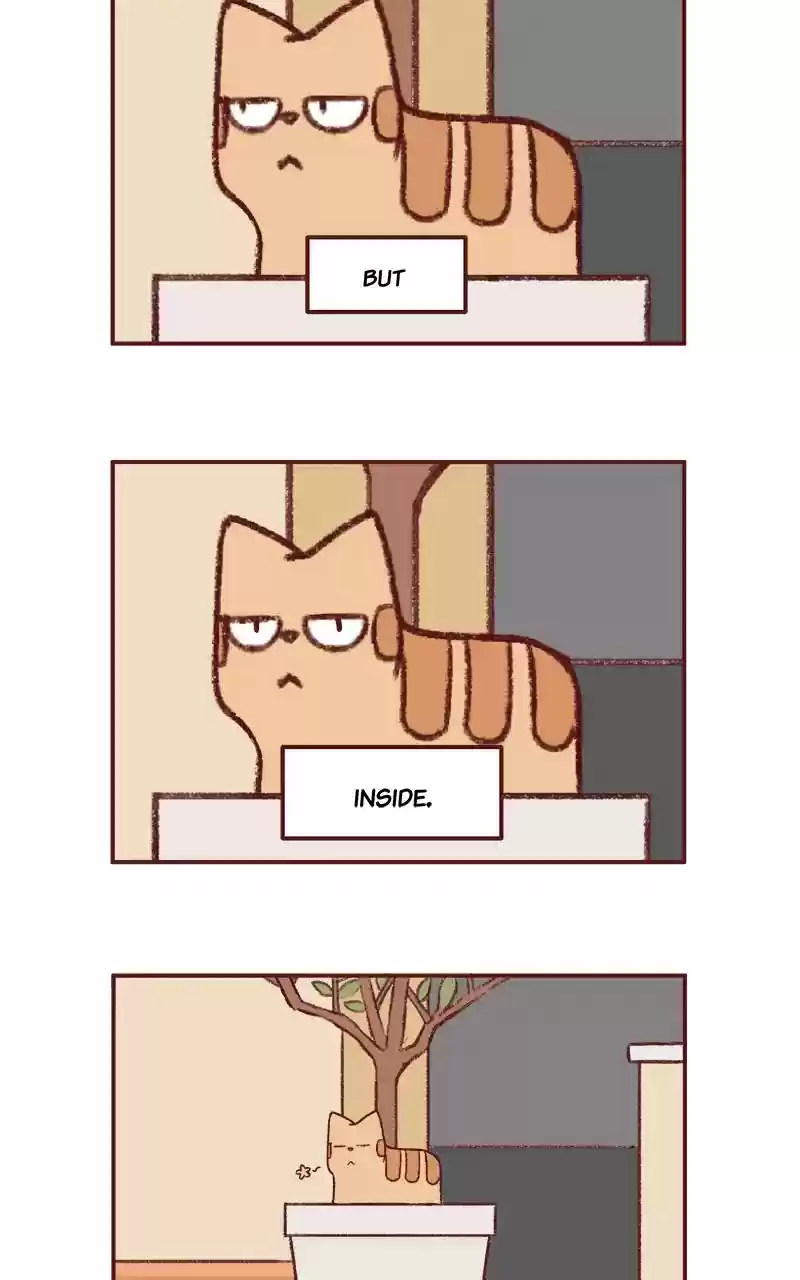 Saphie: The One-Eyed Cat Chapter 253: