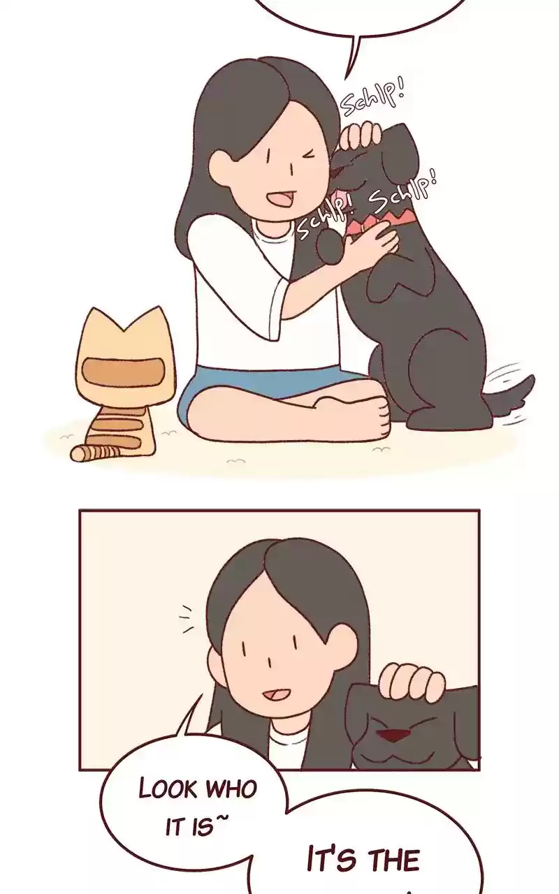 Saphie: The One-Eyed Cat Chapter 254: