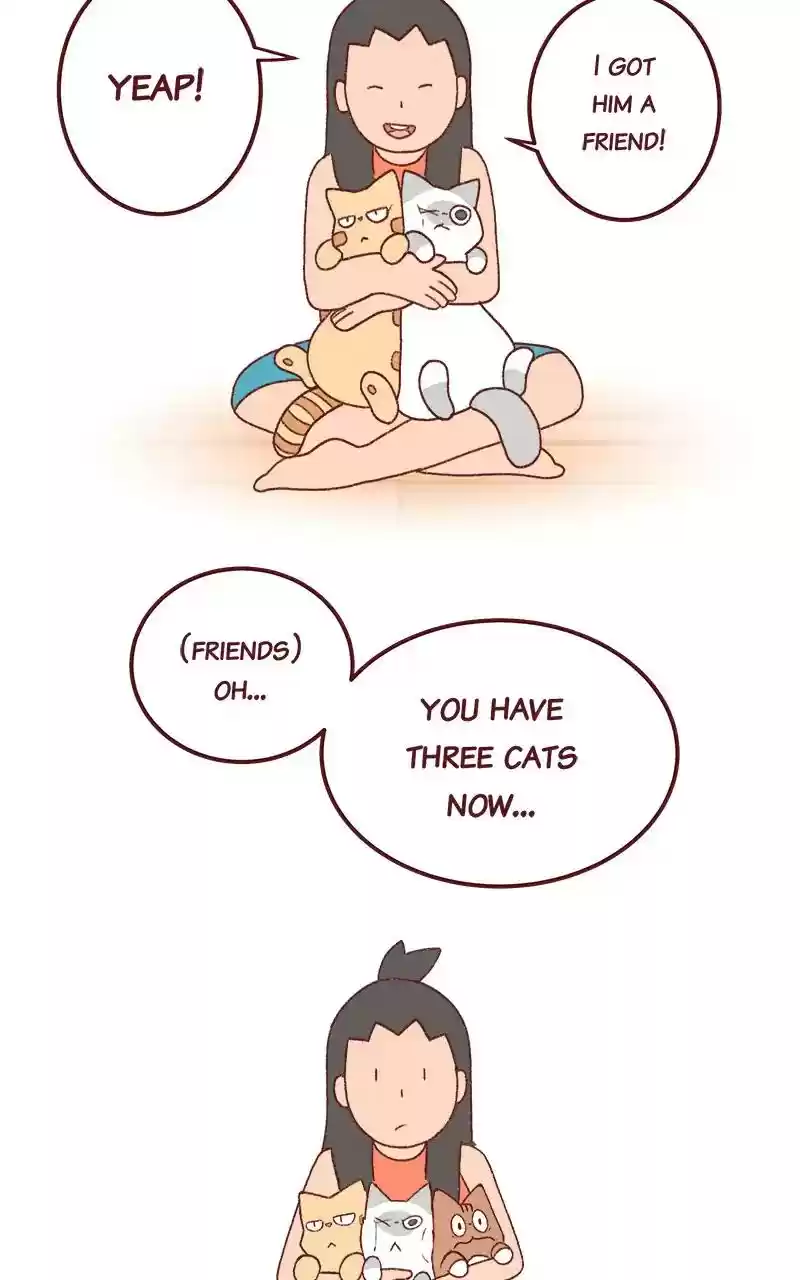 Saphie: The One-Eyed Cat Chapter 255: