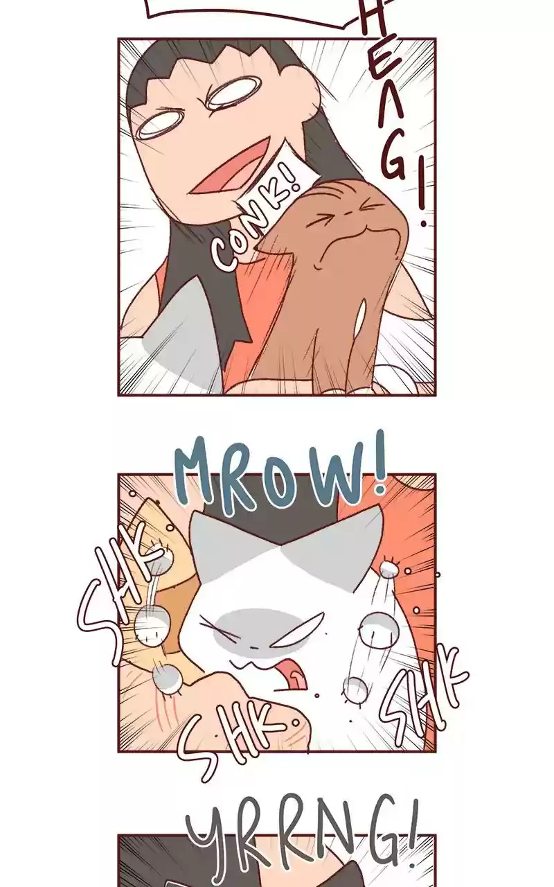 Saphie: The One-Eyed Cat Chapter 255: