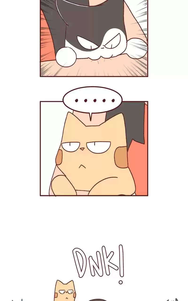 Saphie: The One-Eyed Cat Chapter 255: