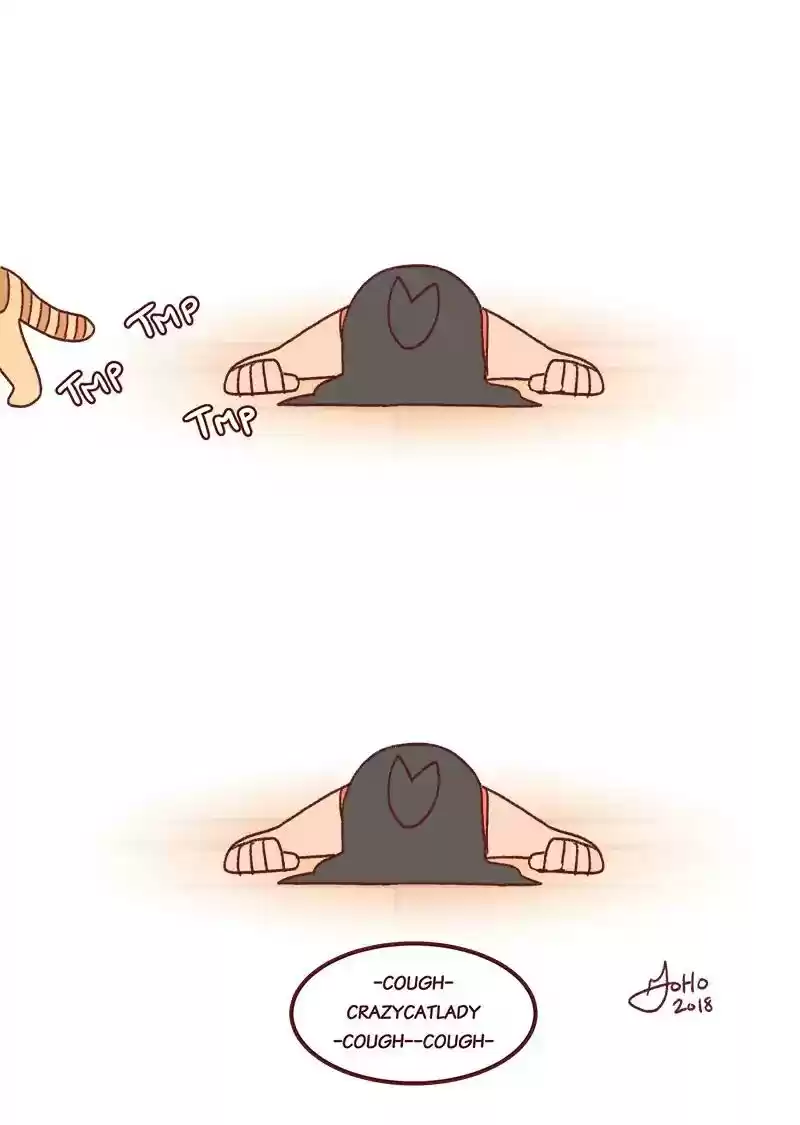 Saphie: The One-Eyed Cat Chapter 255: