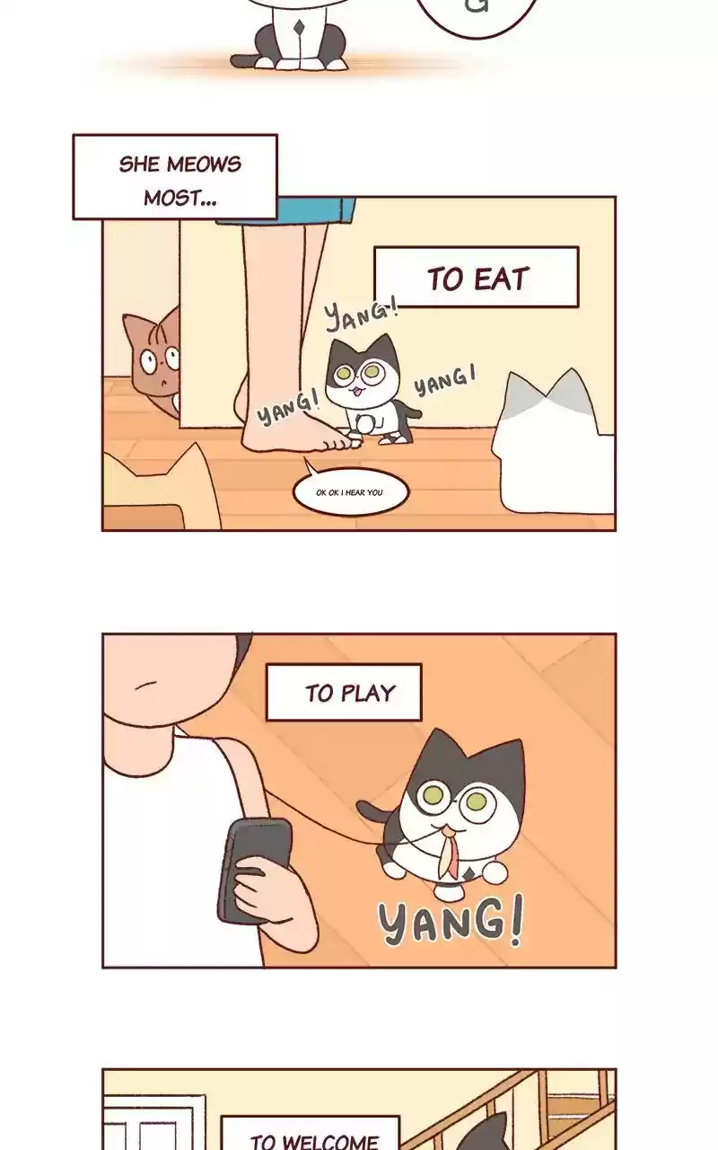 Saphie: The One-Eyed Cat Chapter 256: