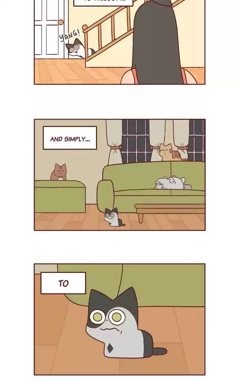 Saphie: The One-Eyed Cat Chapter 256: