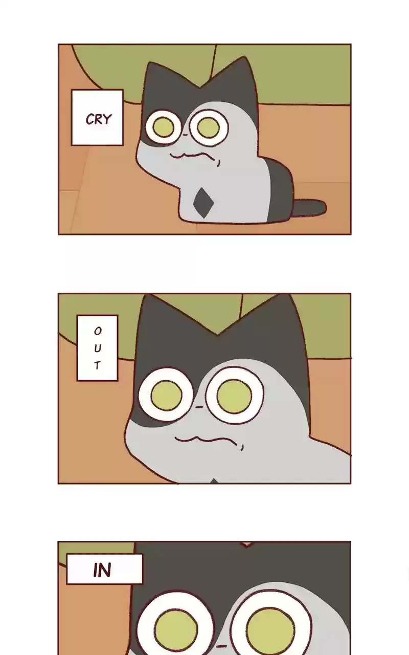 Saphie: The One-Eyed Cat Chapter 256: