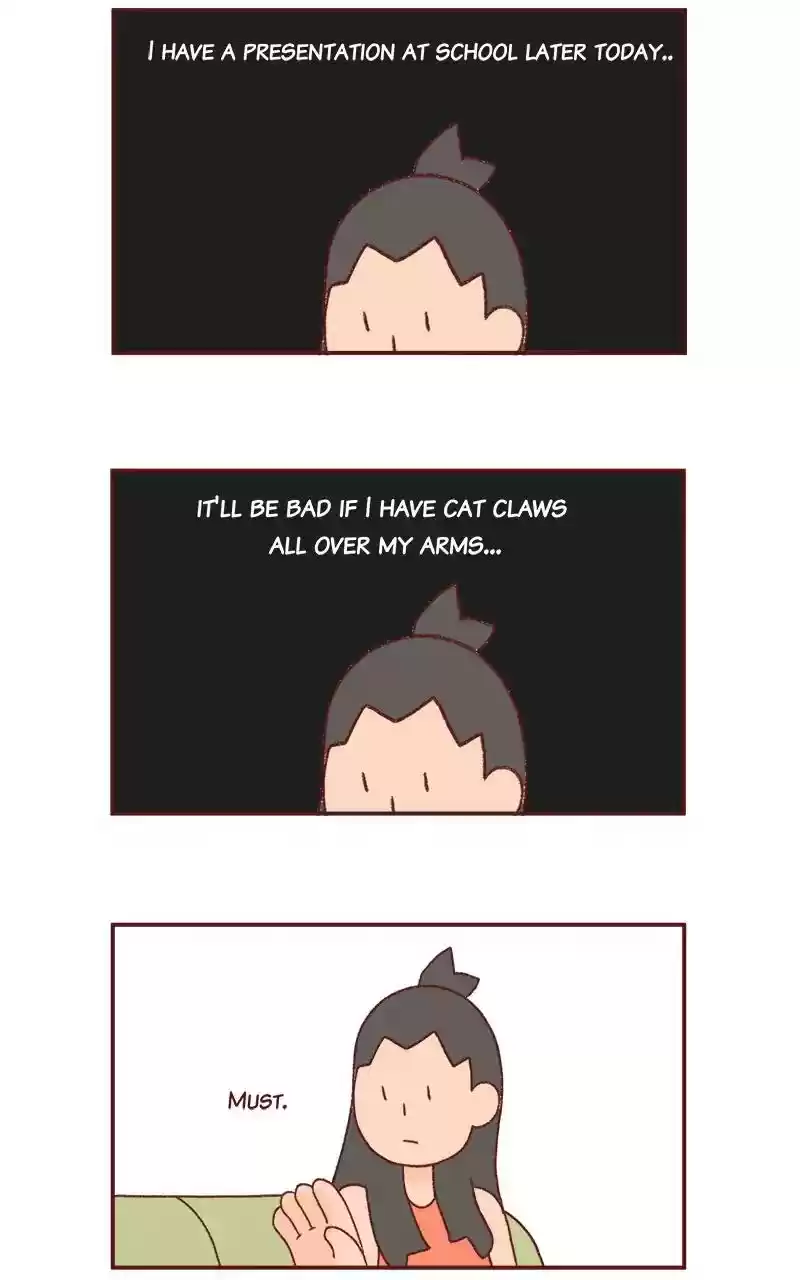 Saphie: The One-Eyed Cat Chapter 257: