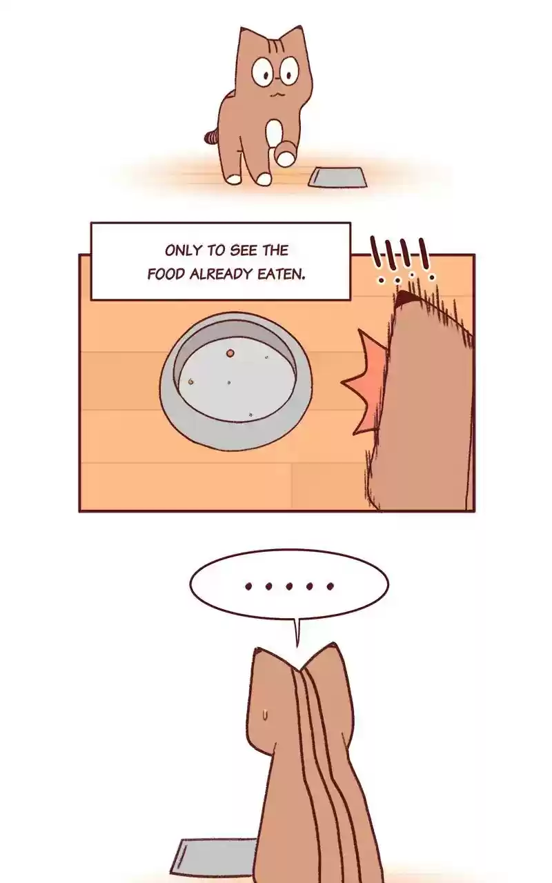 Saphie: The One-Eyed Cat Chapter 258: