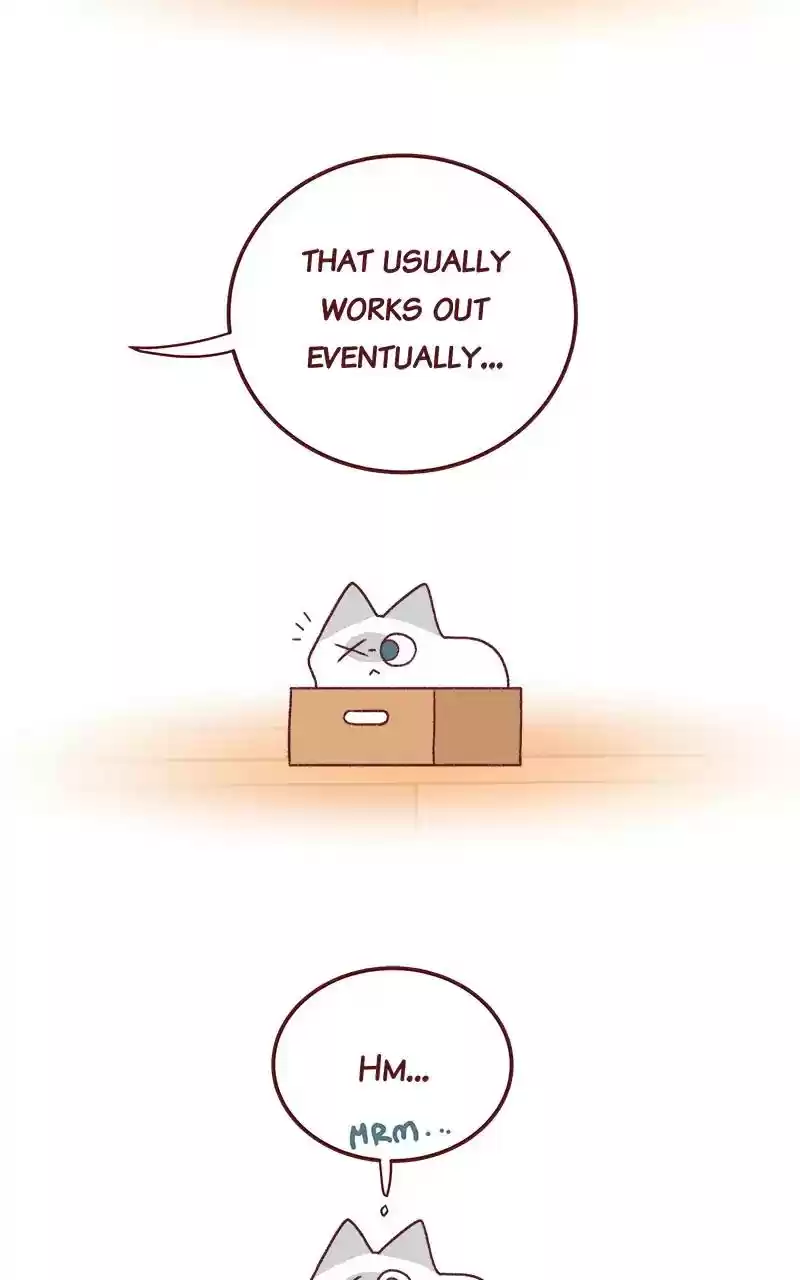 Saphie: The One-Eyed Cat Chapter 259: