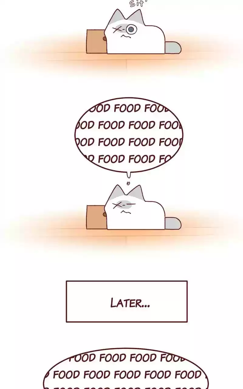 Saphie: The One-Eyed Cat Chapter 259: