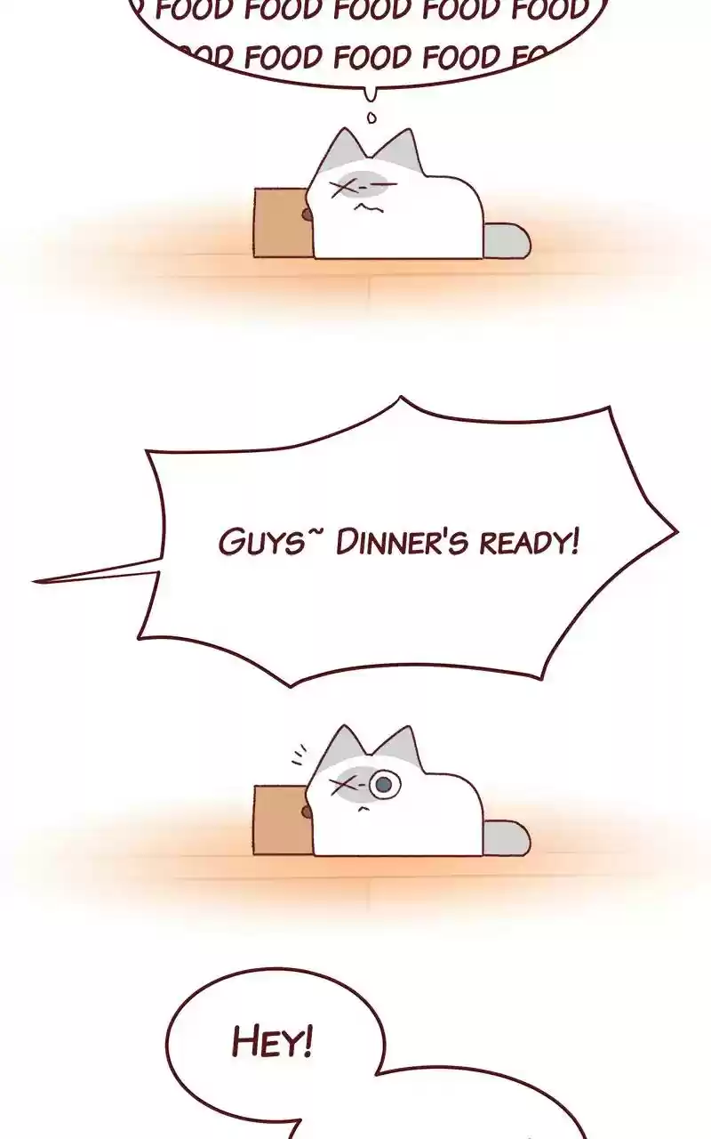 Saphie: The One-Eyed Cat Chapter 259: