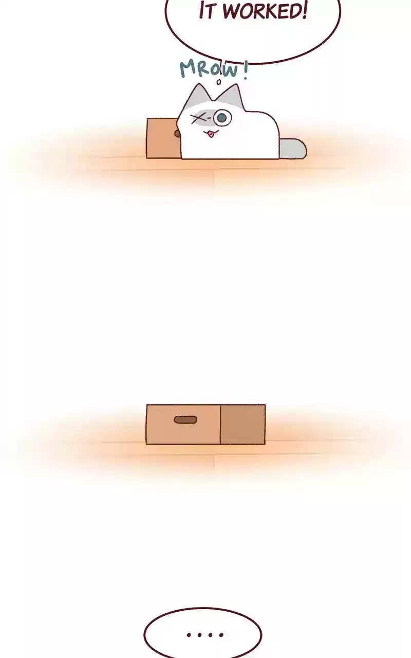 Saphie: The One-Eyed Cat Chapter 259: