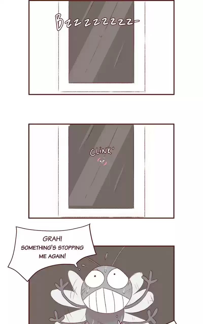 Saphie: The One-Eyed Cat Chapter 260: