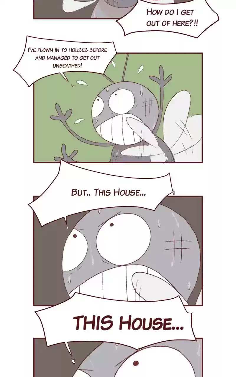 Saphie: The One-Eyed Cat Chapter 260: