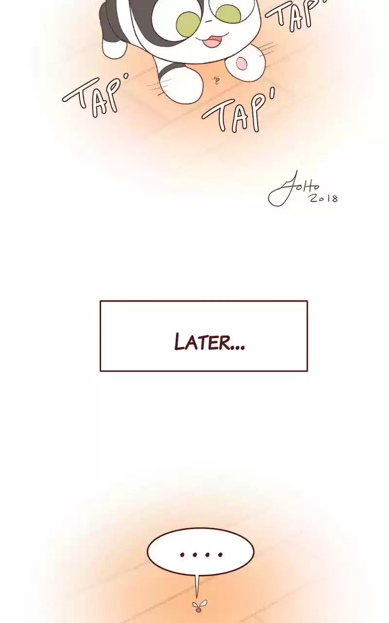 Saphie: The One-Eyed Cat Chapter 260: