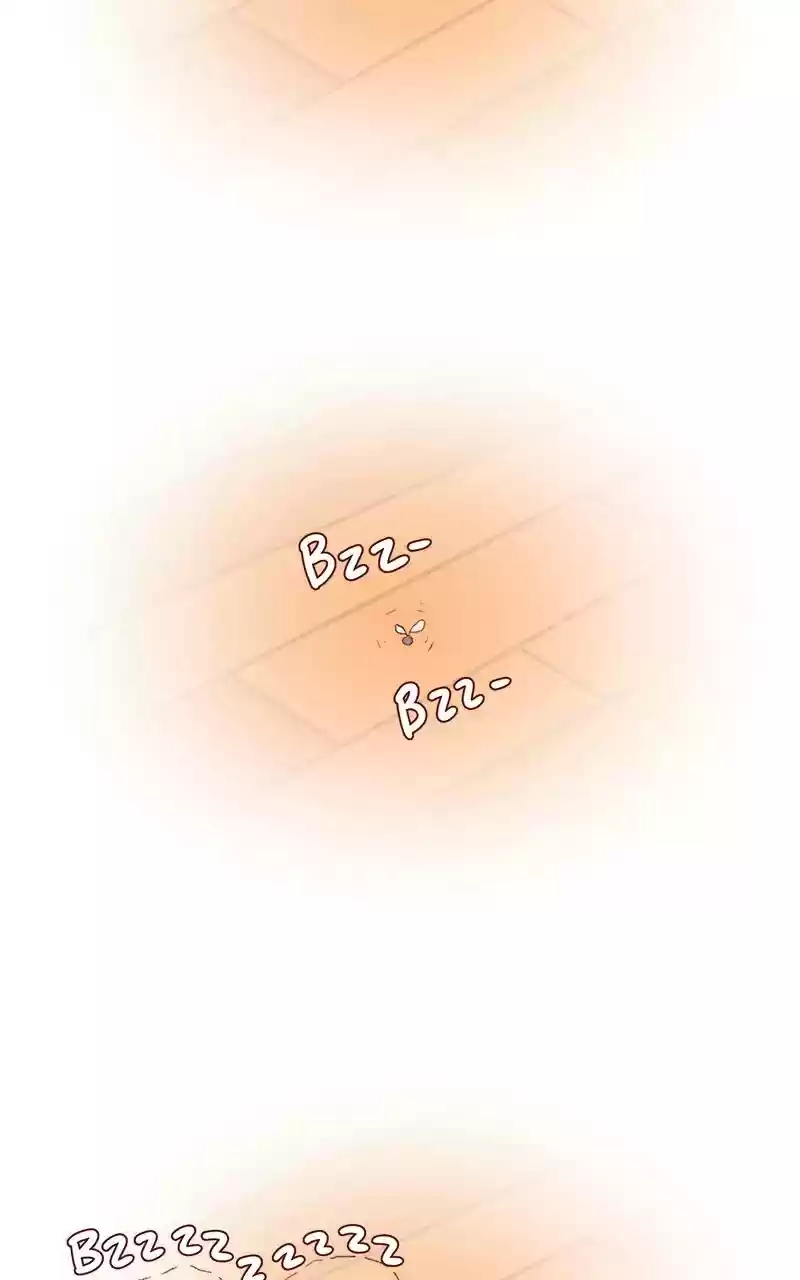 Saphie: The One-Eyed Cat Chapter 260: